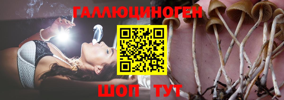 Псилоцибиновые грибы Magic Shrooms Тольятти
